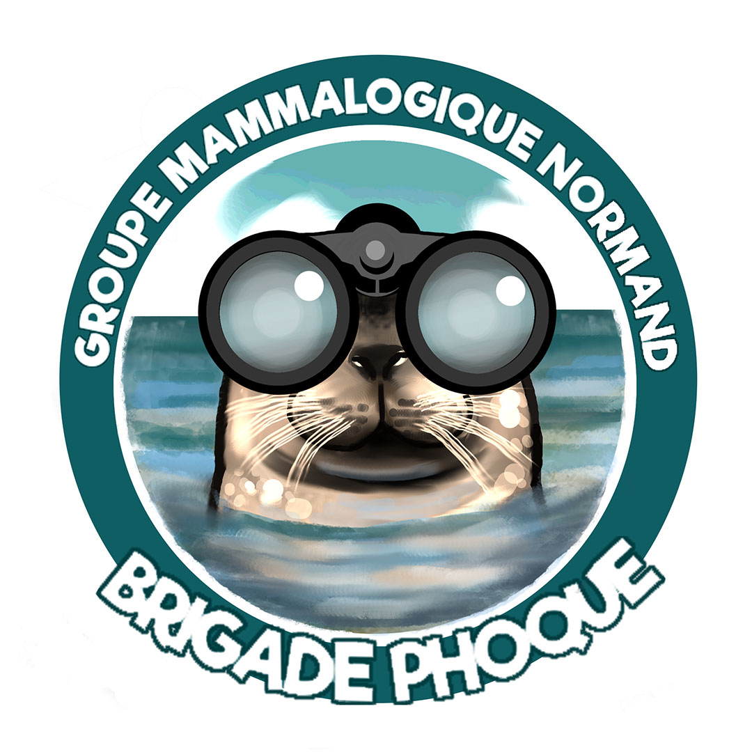 Logo sur Gimp pour le Groupe Mammalogique Normand