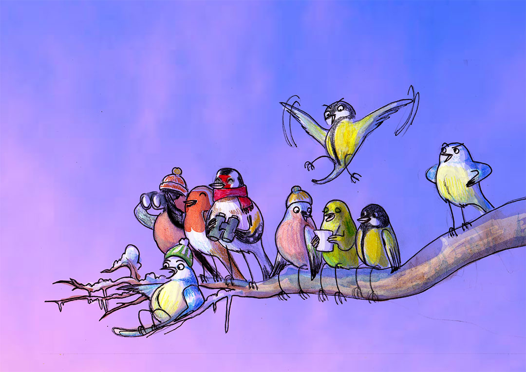 Illustration réalisée pour l'affiche du grand comptage des oiseaux de jaridn 2021