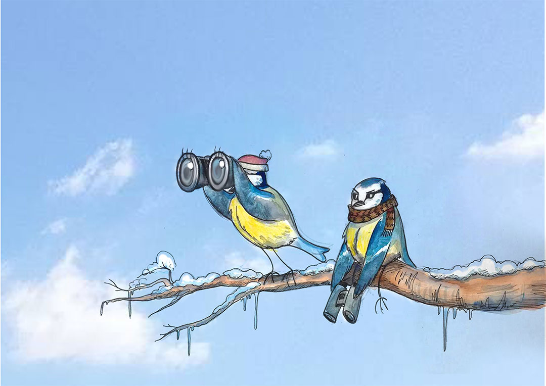 Illustration réalisée pour l'affiche du grand comptage des oiseaux de jaridn 2019